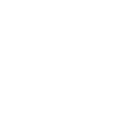 Logo Image White